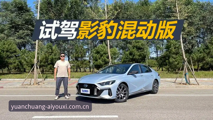 SQ55原创体验官赛事数据2026最新版本，为什么比其他版本更值得关注？